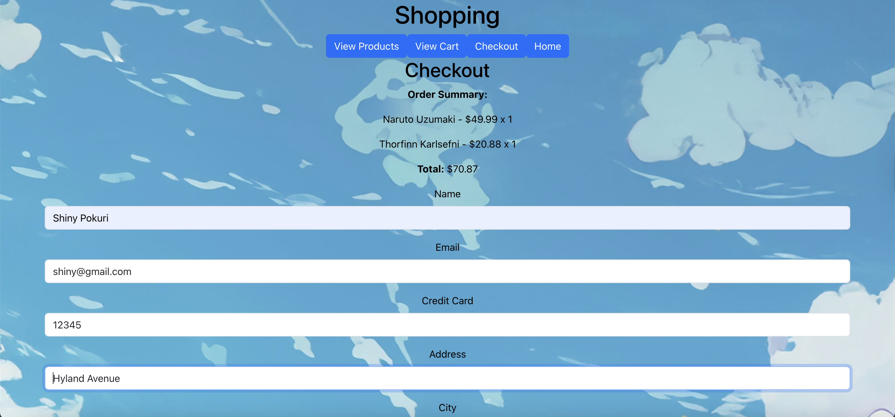 Checkout Screenshot
